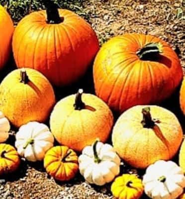 Third Annual Fall Craft Faires at Huerfano Nursery & Garden in Walsenburg and Huerfano County