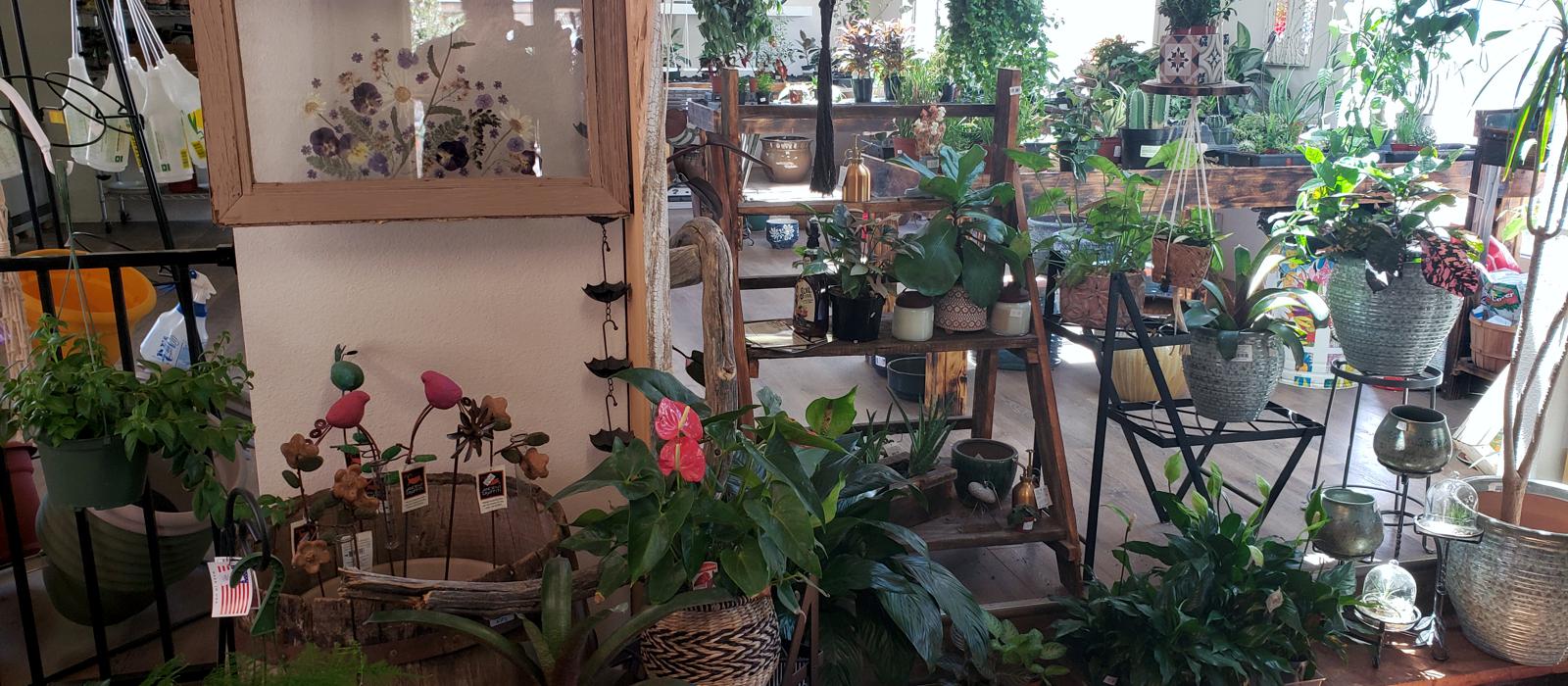 Locally Family Owned and Operated Indoor Garden Center Open Year Round located in Walsenburg