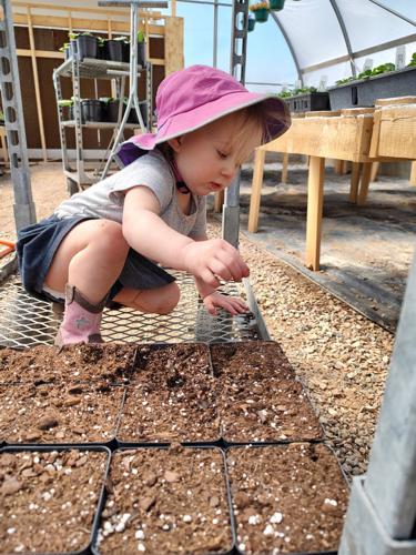 Planting Process by Huerfano Nursery & Garden